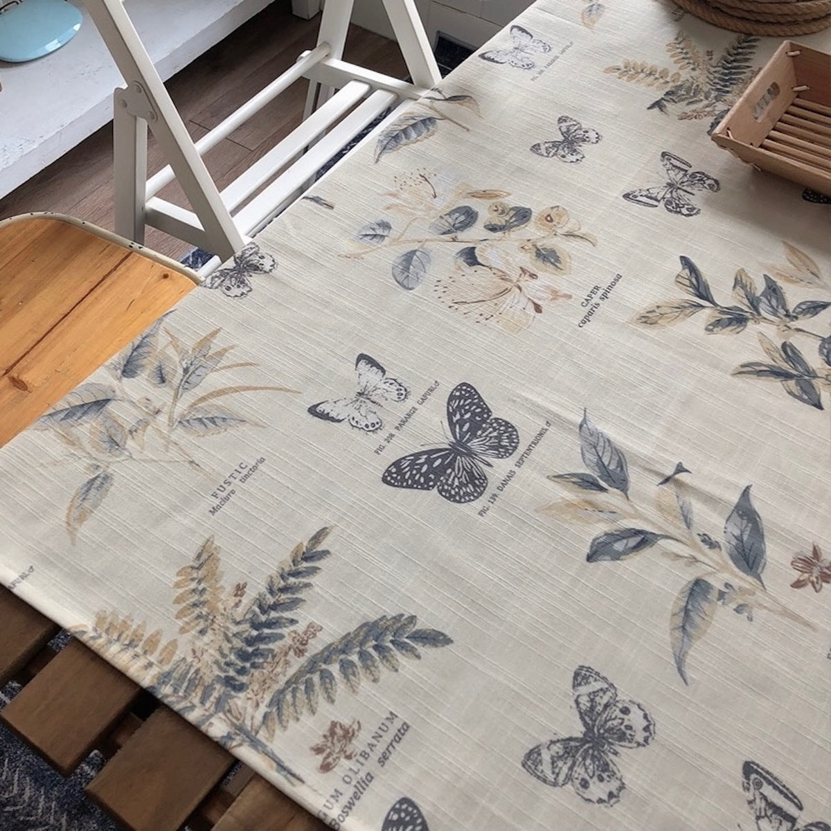 IMG_7696_1200x.jpg?v=1677827045